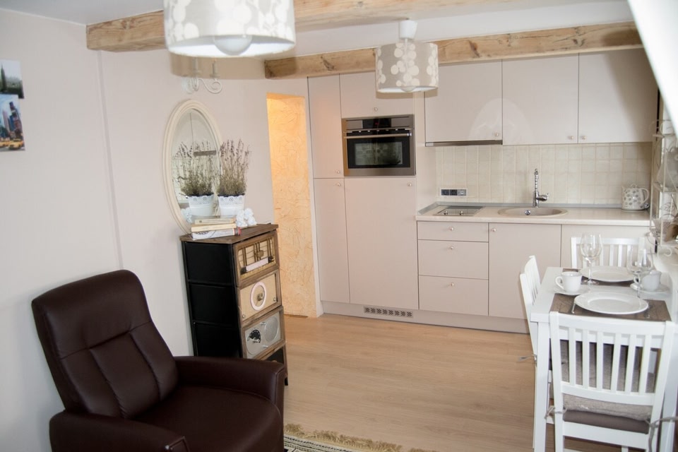 Ants Apartment