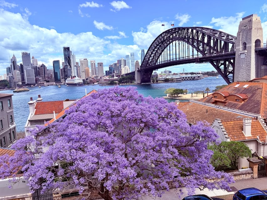 World Class HarbourBridge&OperaHouse View 2Bed Apt
