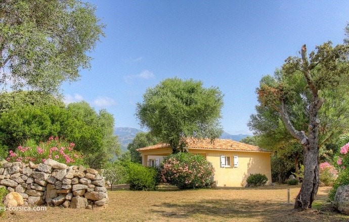 VILLA PIERRE IN THE COUNTRYSIDE