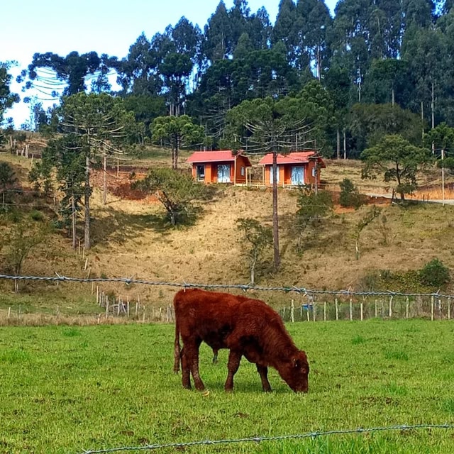 Lua Cabin π