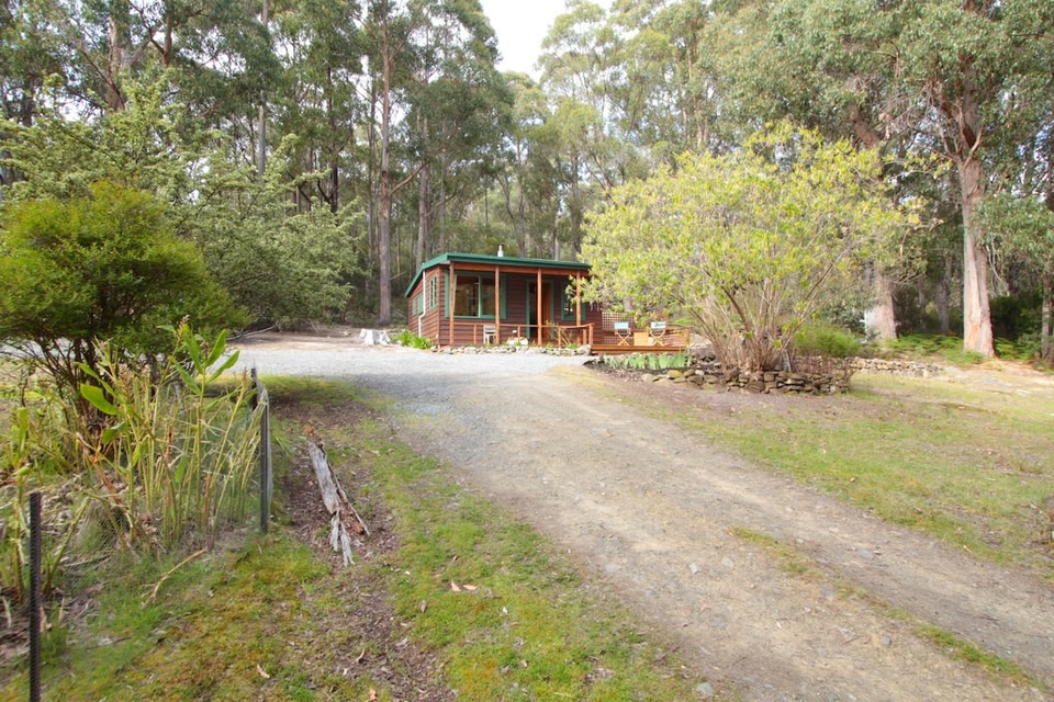 The Cabin - Surrounded by Nature