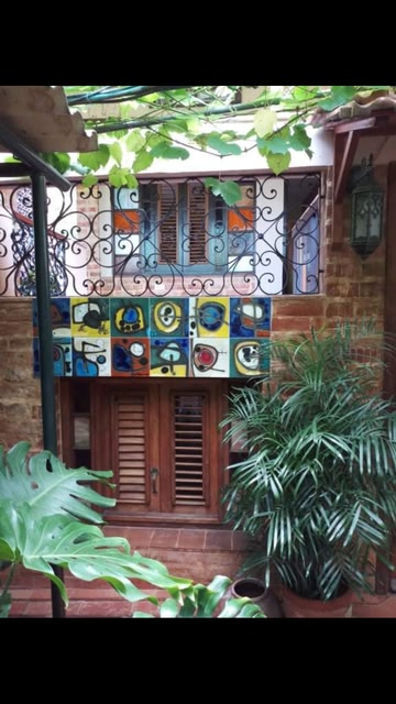 the Stained Glass Window