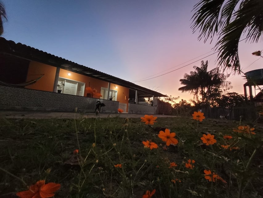 Orange House