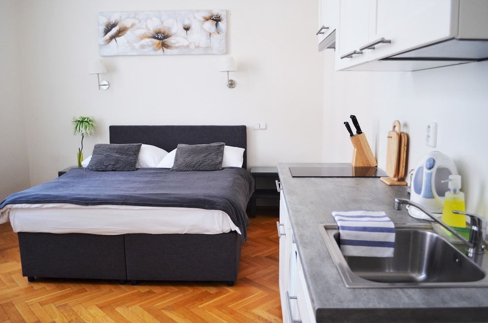 Beautiful Small Apartment in Žižkov