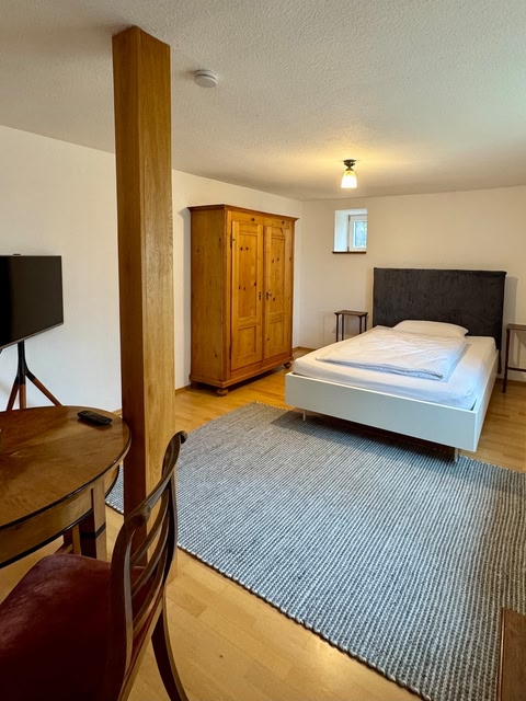Modern Basement- Flat West Town B27