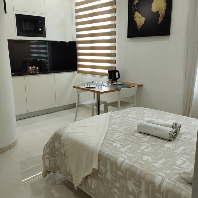 103 - Modern and Functional Studio