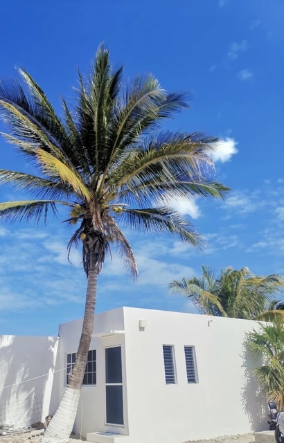 Casitas Gemelas Chelem Apt. 3