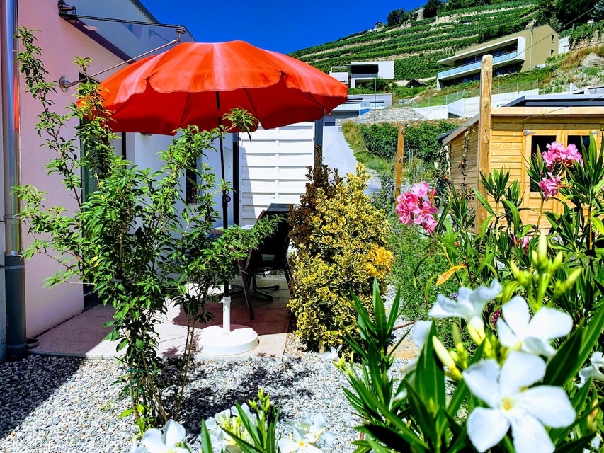 Studio ZEN 22m2, WC/Shower/Garden, View Assembly