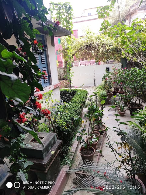 Buddha Walks (independent flat)