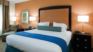 Holiday Inn Express & Suites MOBILE/SARALAND by IHG