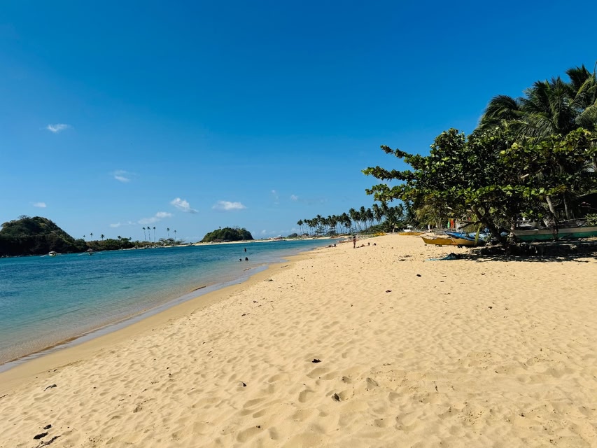 Dandal Bay View