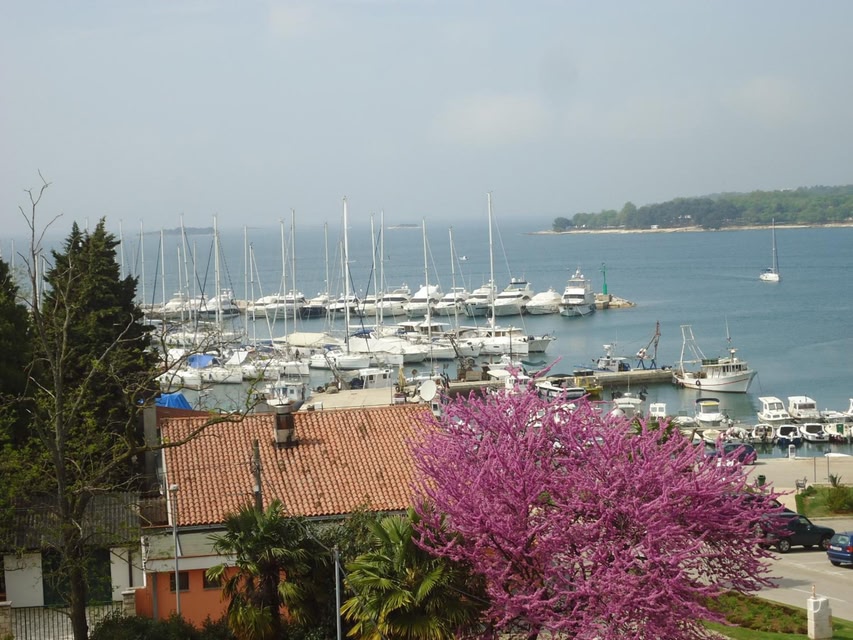 Apartment Alba