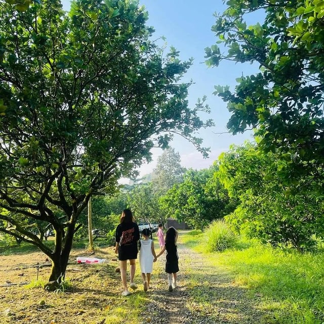 Suối Camp