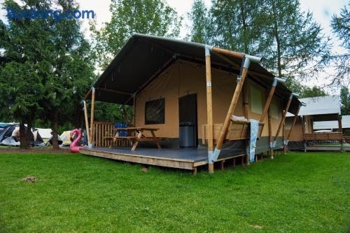 zucht zelt Weedness Grow Box für Indoor 240x240x200 – Lichtdicht mit hoher Reflektion Zuchtzelt Growschrank Growzelt Zuchtbox Gewächszelt Homebox Garten Home - Radhaus der Größe:1Plus Bike/Elliptical Consoles