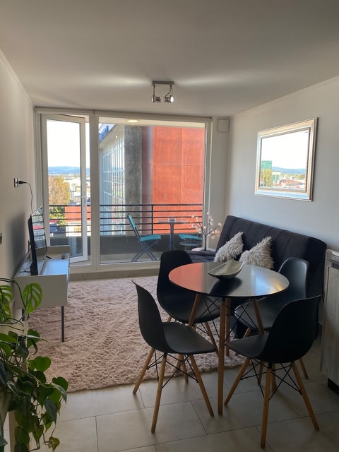 Central Valdivia Apartment