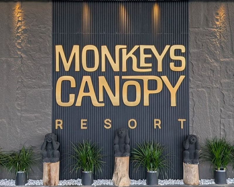 Monkeys Canopy Resort