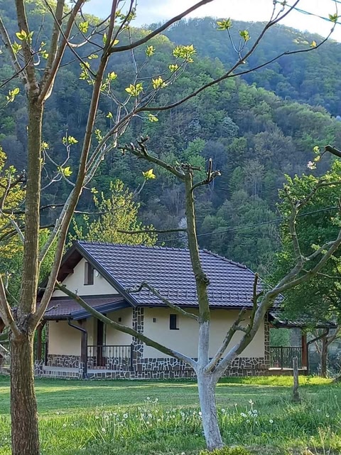 Drinski Merak