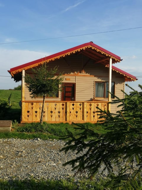 Cabana de Lemn Runcu Stone