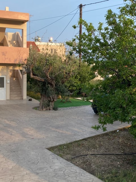 Fotis House 2