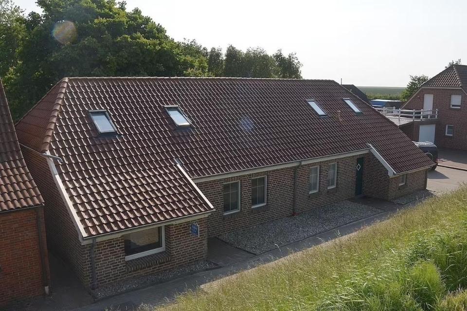 Minikrabbe