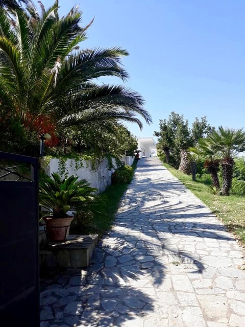 Seaview Dreams