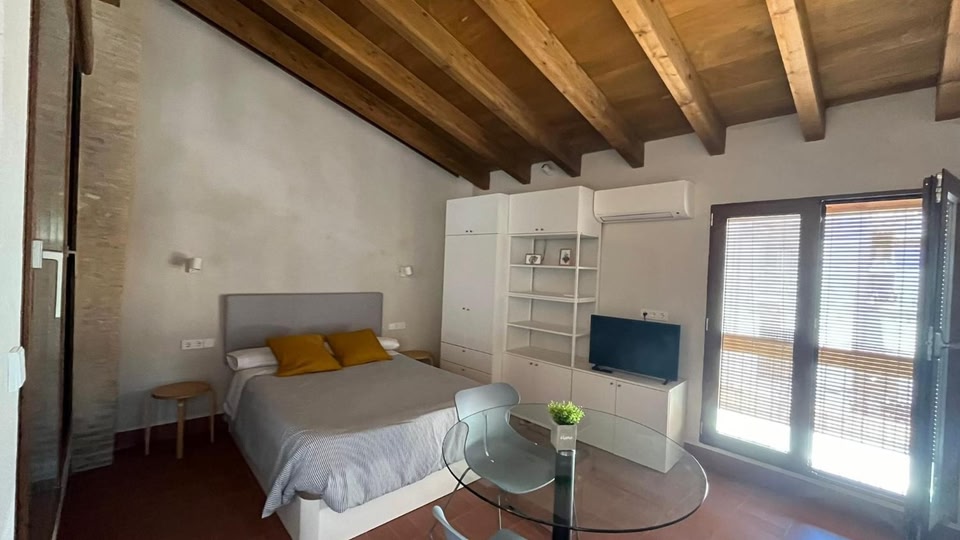 Loft Catedral con Terraza