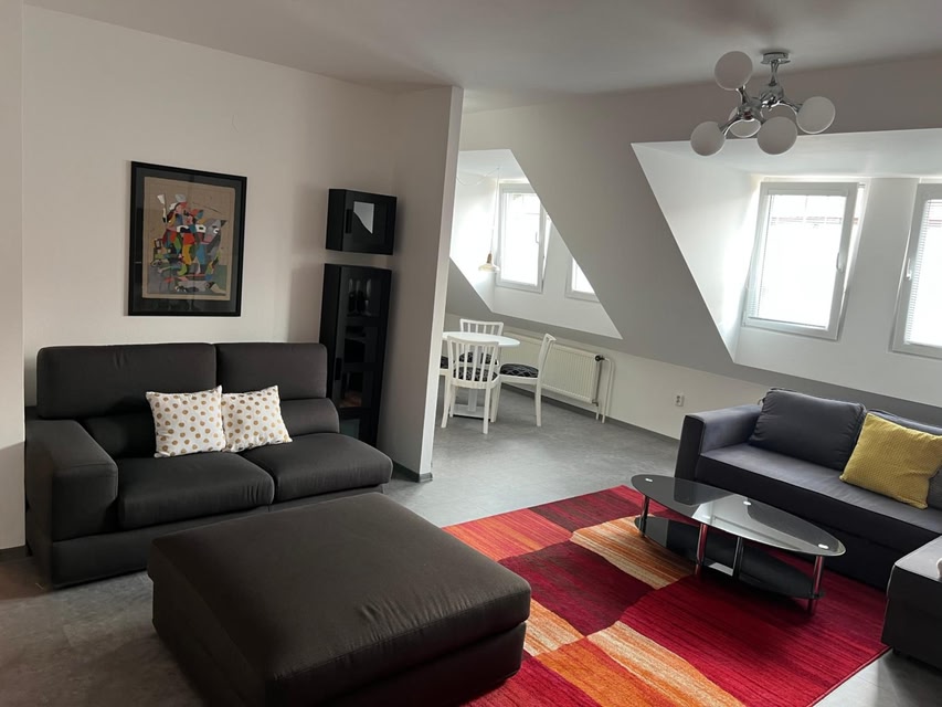 APARTMÁN U Zoubku