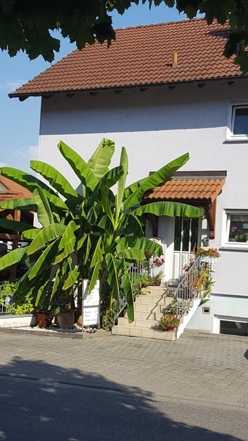 Ferienwohnung Am Eck