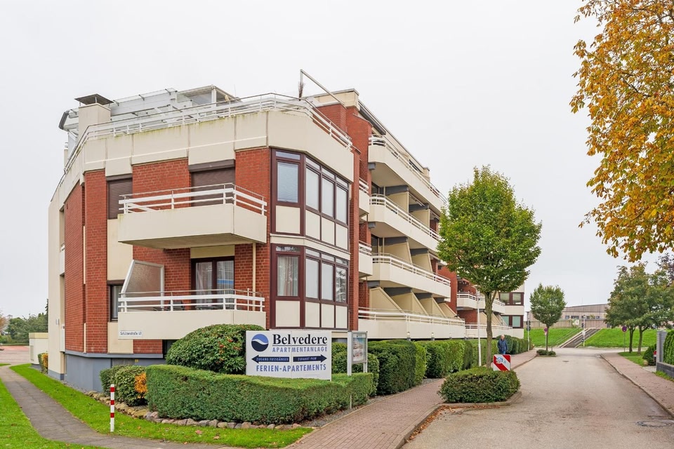 Belvedere Strandrose