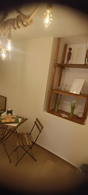Cerami Jungle Suite