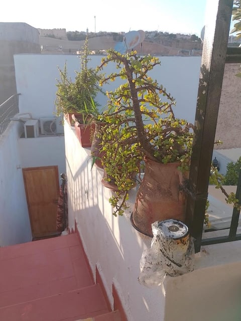 RIaD Drissia Panoramic