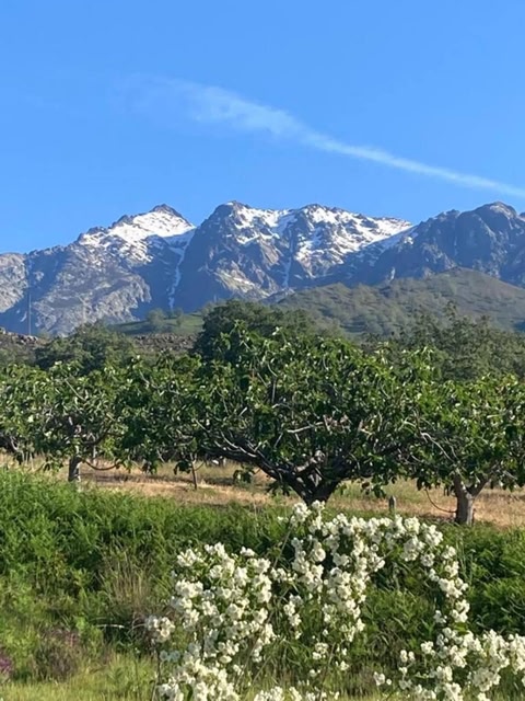 MIRADA A Gredos