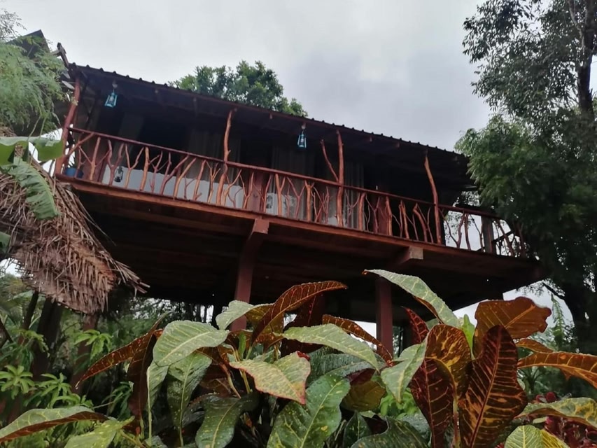 Sigiriya Rock View Tree House