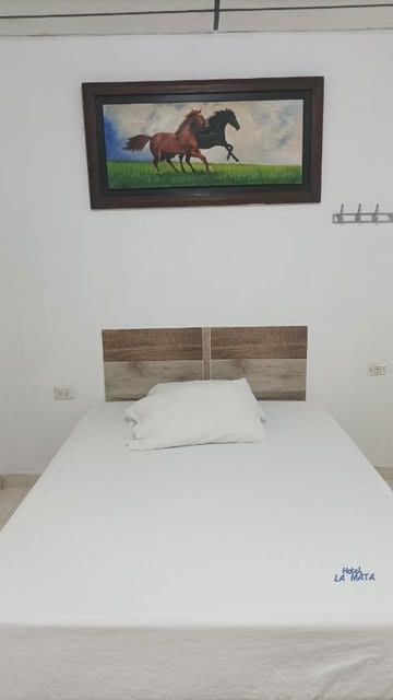Hotel La Mata