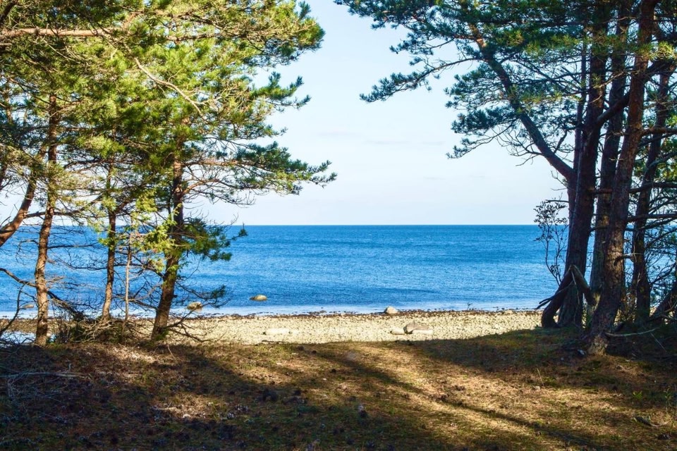 Wild Beach Spa