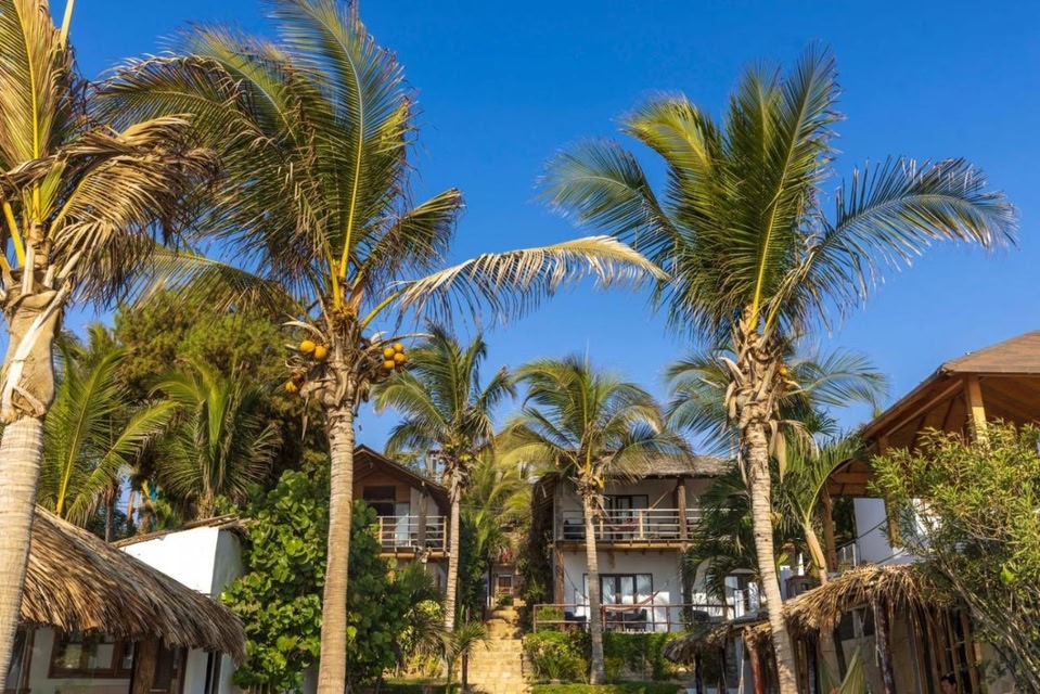 Los Cocos de Vichayito