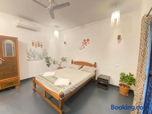Casa de Sazu 1bhk