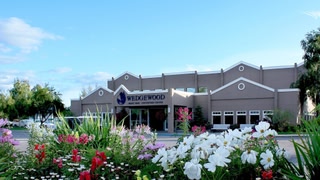 Wedgewood Resort