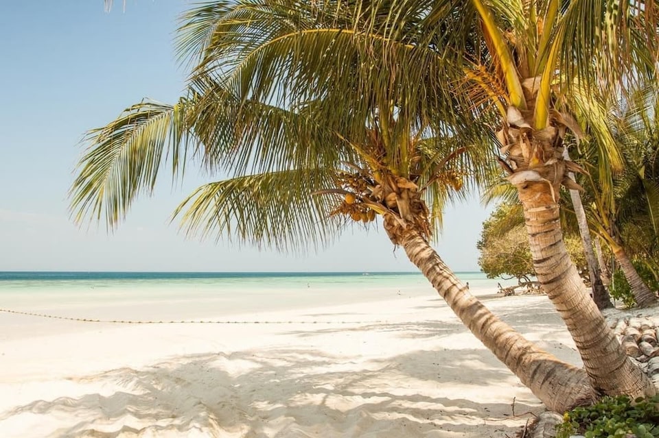 Redhill Cairns Living - Pembroke St