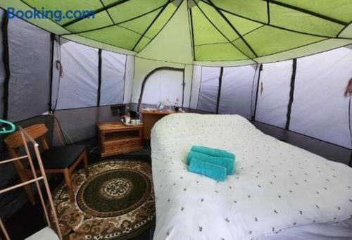 BEE HIVE tent is available with shared bathroom