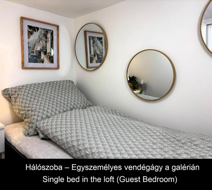 Dzsungel Home
