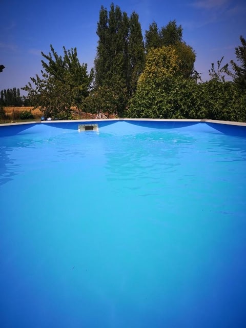 Blue Banane