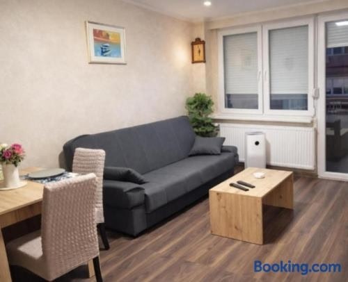 Apartman Centar 1
