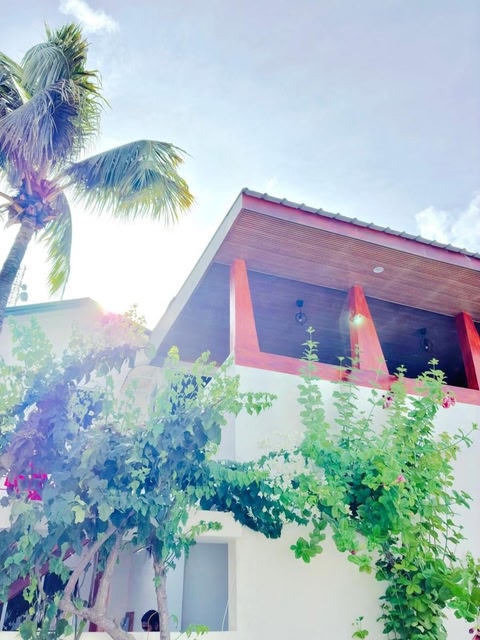 VelaaOlhu - Turtle Hive Thulusdhoo