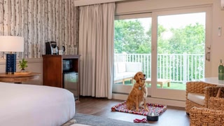 Bayview Hotel