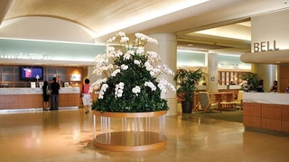 LSI Resorts at Ala Moana
