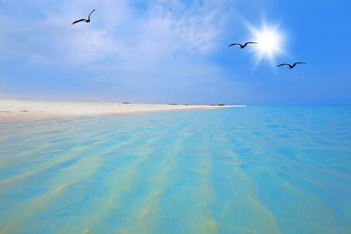 อารูบา ประเทศดัชต์แอนทิลลิส (Aruba, Dutch Antilles)