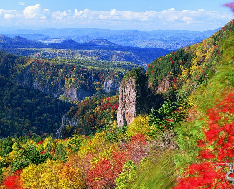 This image has an empty alt attribute; its file name is 1.jpg