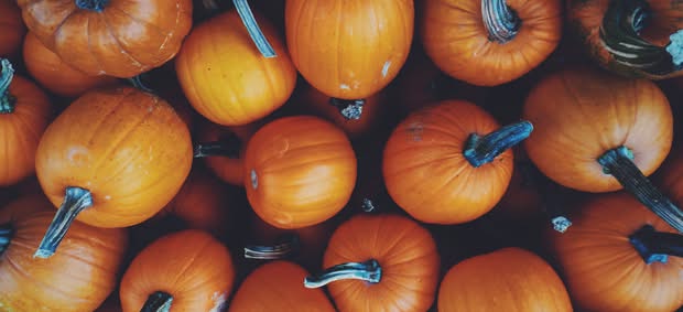 The best places to Trick or Treat this Halloween 🎃