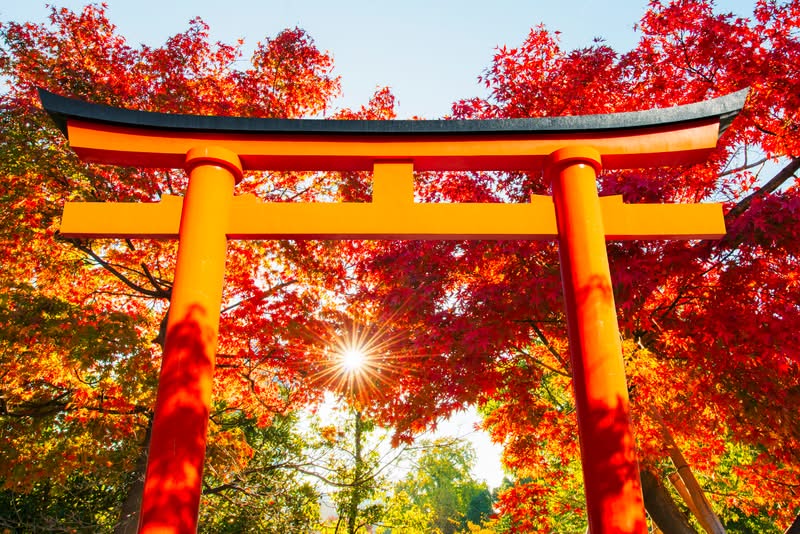 Jesień w Japonii